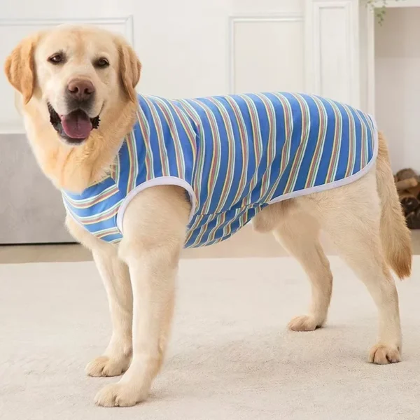 Summer sleeveless vest for medium and large dogs