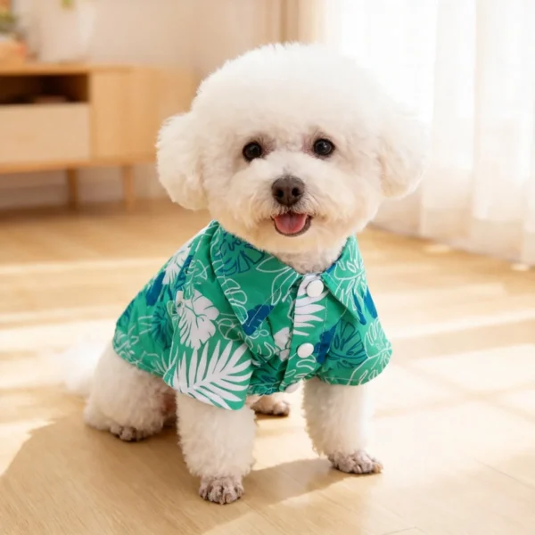 Gradient Floral Shirt Indoor Walking Outfit