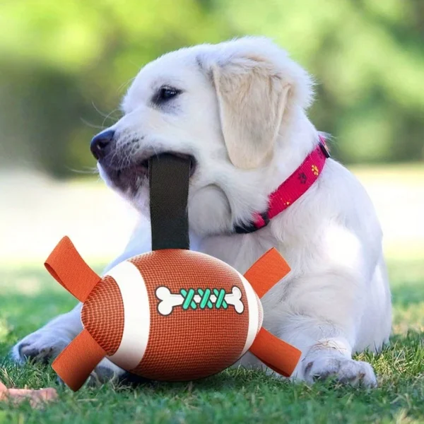 Durable Rubber Dog Soccer Ball